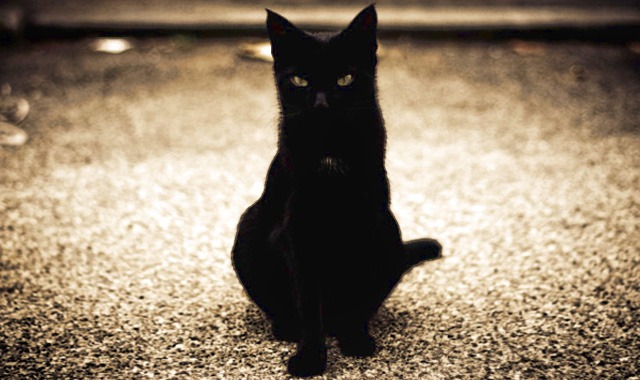 El gato negro… ¿sinónimo de mala suerte?