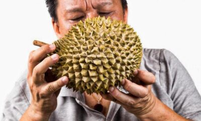 El durian