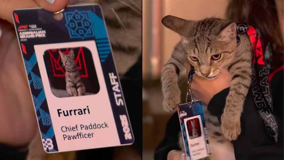 Furrari